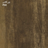 پلی گلاس P22