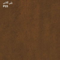 پلی گلاس P23
