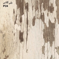 پلی گلاس P24
