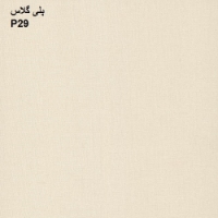 پلی گلاس P29