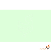 کورین ال جی (LG) Emerald S305	
