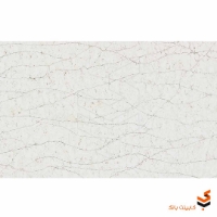 مارمونایت Spiny کد2121 MV