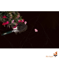 مارمونایت Imperial کد 4123 MR
