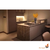 کورین هانکس Marron ST204	